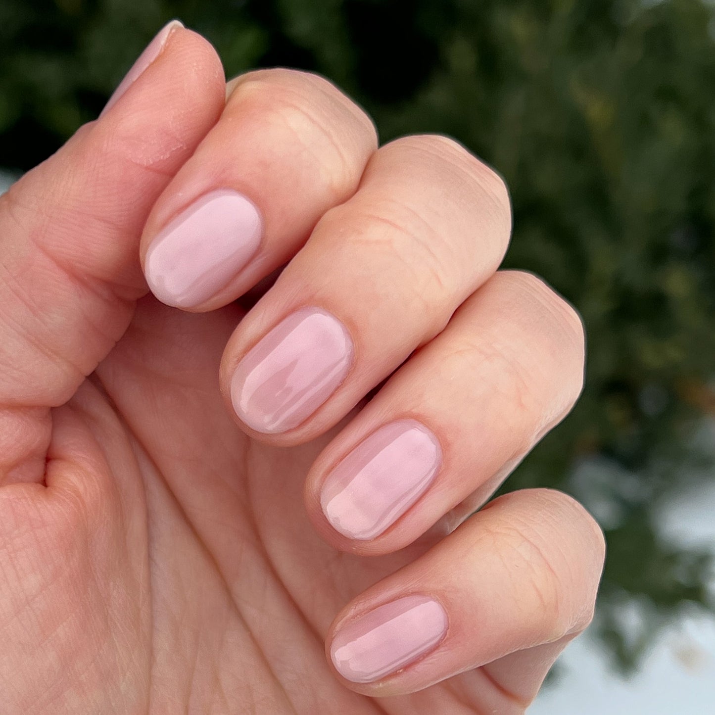 Hand displaying nails with a sheer neutral mauve manicure using The Queen Takes her Tea with Milk polish by Olive and June